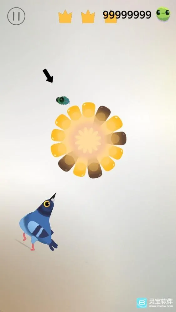 ���ĸ������İ�����