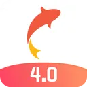 ̩¡����(�����ֻ�Ӧ��)