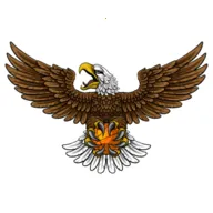 ��ӥTV(Ӱ��׷��ƽ̨)v8.7 ��Ѱ�