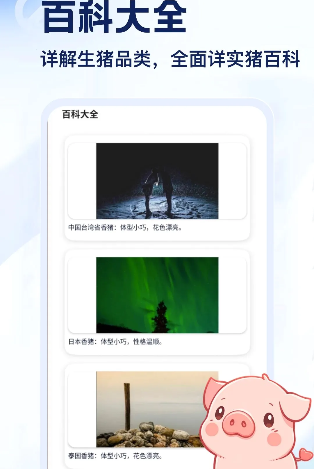����APP2026�ٷ����°汾v5.2 ��Ѱ��ͼ