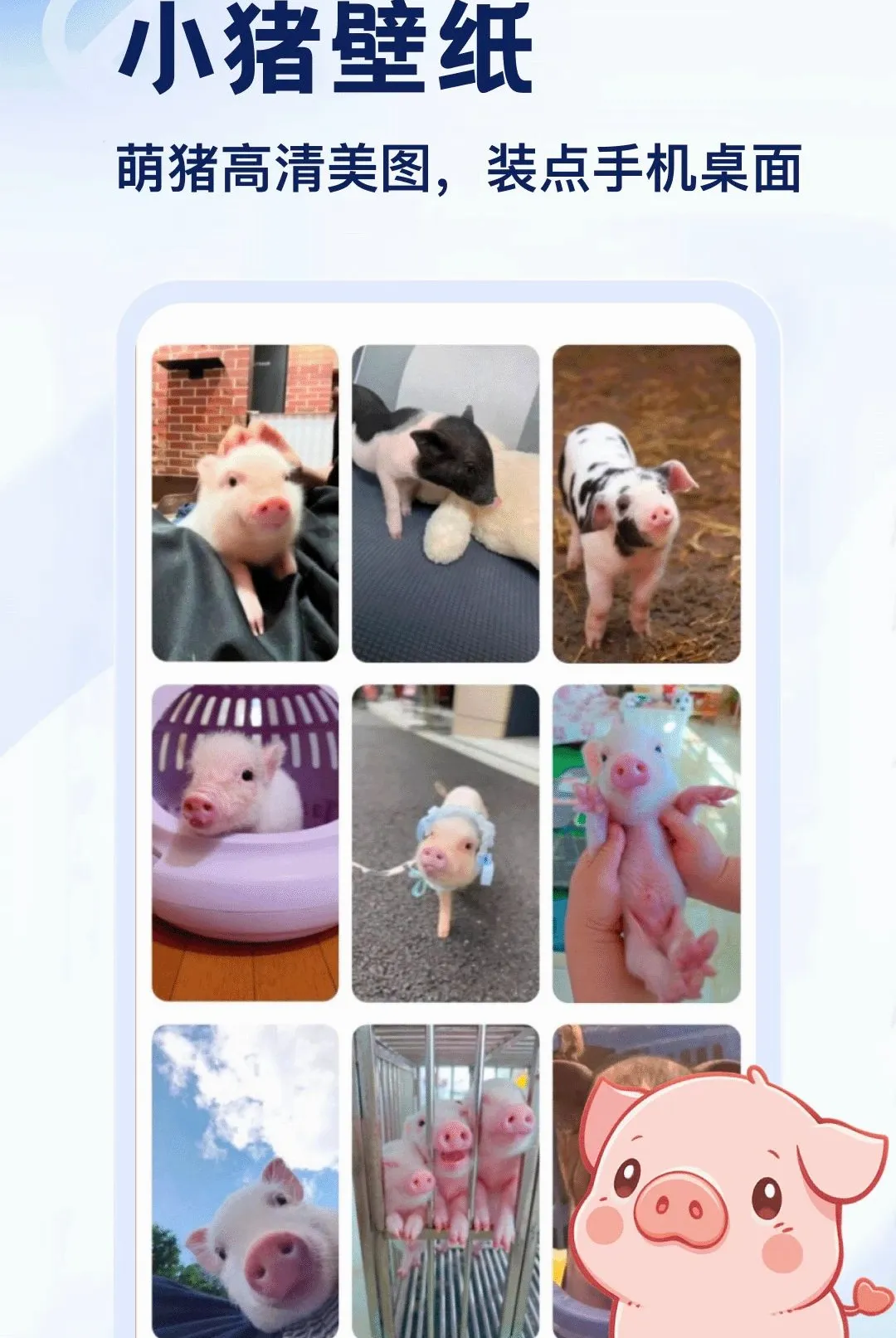 ����APP2026�ٷ����°汾v5.2 ��Ѱ��ͼ