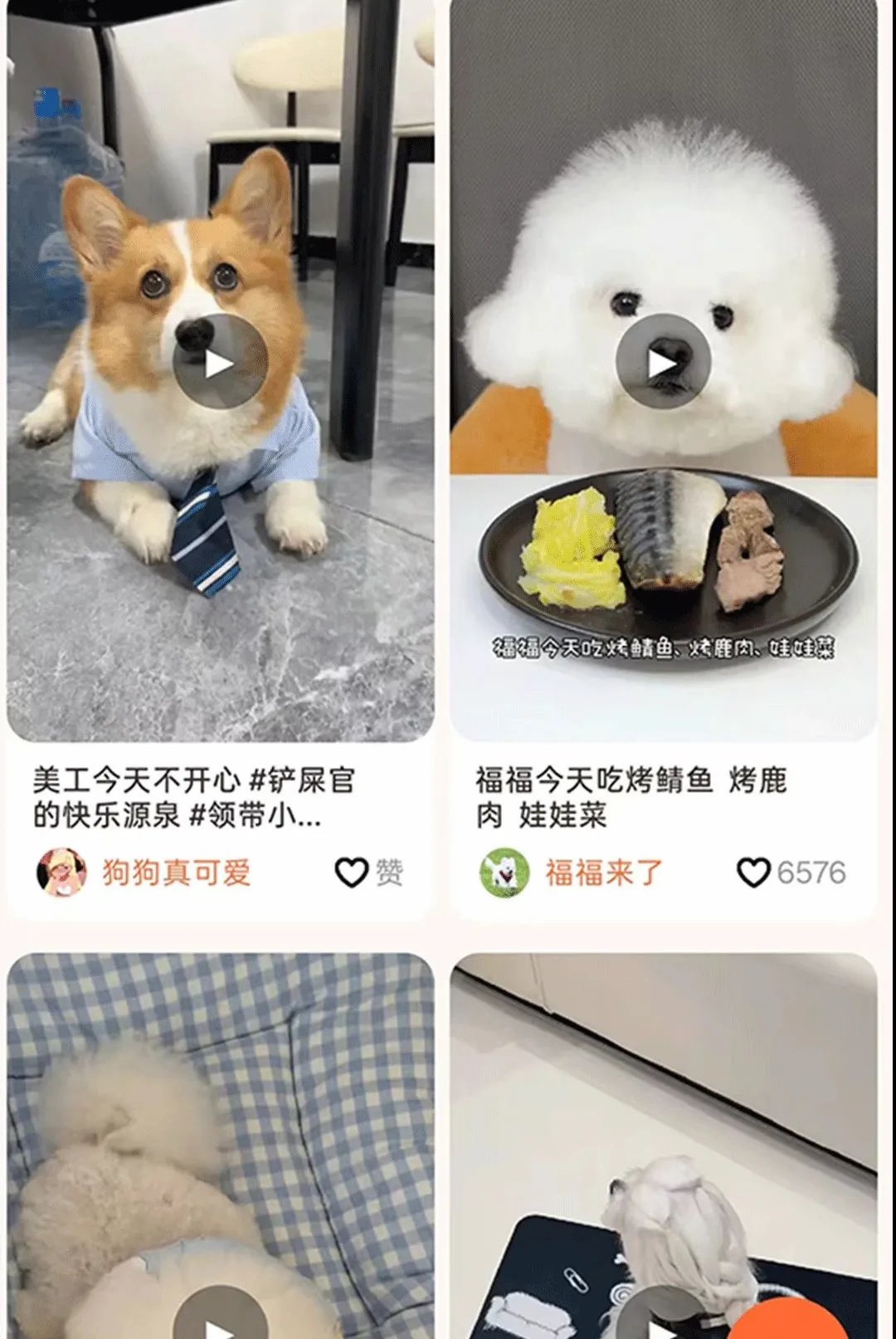 С���APPv1.1.7 �ٷ������ͼ