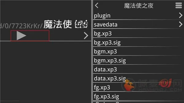 魔法使之夜直装版
