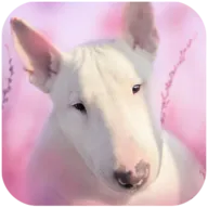 ��ţȮ��ģ����Ϸ