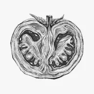 θ֮��2026���°汾