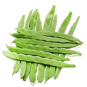 С�˶�2026�ٷ����°汾v4.1 �ֻ���