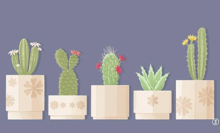 ����һ�㣺������2026���°汾v3.5.81 �ٷ������ͼ