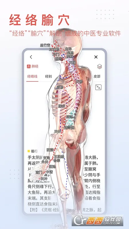3dbody��������v8.8.91 �ٷ������ͼ