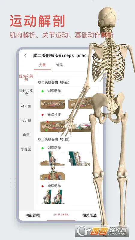 3dbody��������v8.8.91 �ٷ������ͼ