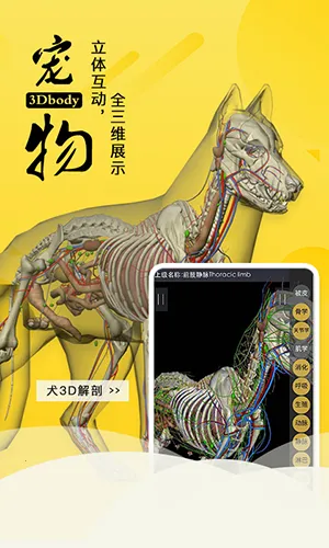 3dbody�������İ�v8.8.91 �ٷ������ͼ
