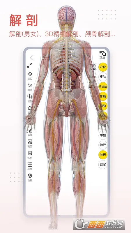 3dbody�������İ�v8.8.91 �ٷ������ͼ