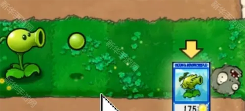 植物大战僵尸抽卡版0.35下载安装最新 植物大战僵尸抽卡版0.35下载安装最新