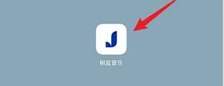椒盐音乐pro破解版 椒盐音乐pro破解版