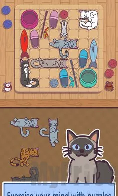 ���׶�2026���°汾