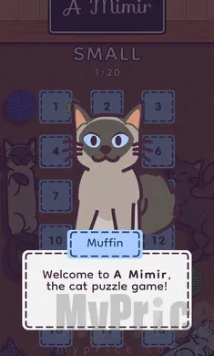 ���׶�2026���°汾