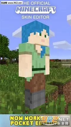 skinseedƤ���༭��v6.5.22 �ֻ����ͼ