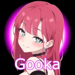 gooka�ƽ������v1.0.105 �ٷ�����