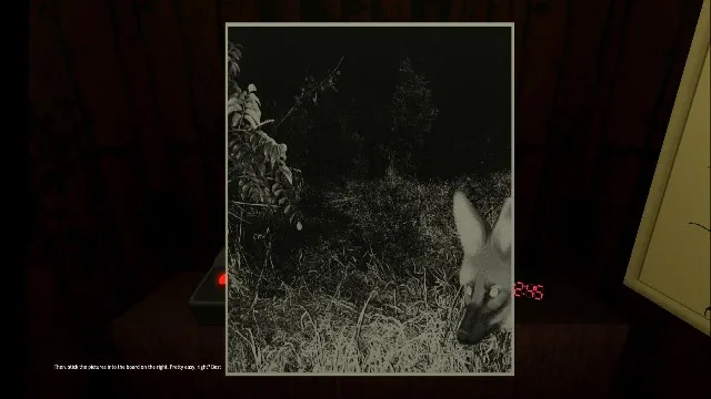 动物观察员恐怖游戏 动物观察员恐怖游戏