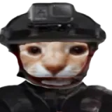 ��ŭ���ھӣ�����2������ư�(�ھӶ��̽����Ϸ)