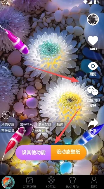 锦鲤金鱼壁纸最新手机版 锦鲤金鱼壁纸最新手机版