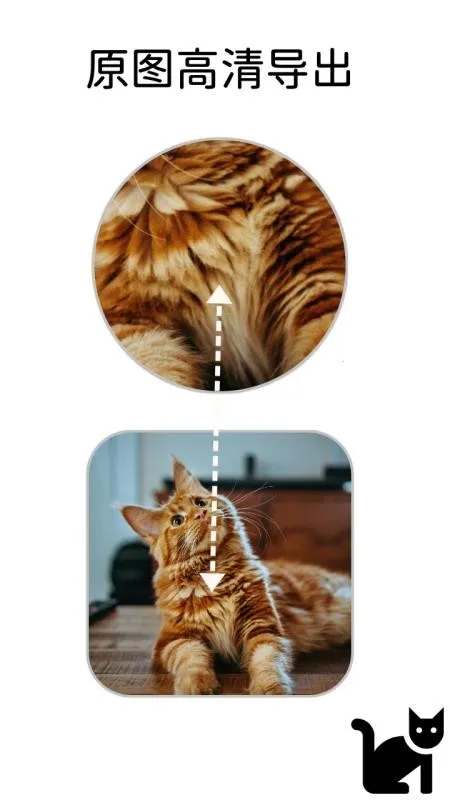 Сè�߿�(ͼƬ��������)v1.1.1 �ֻ����ͼ