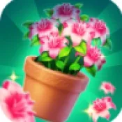 ��Ե������(��Ե������Ϸ)