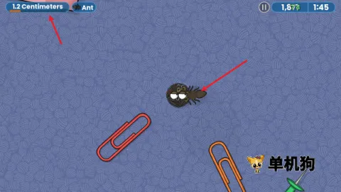 ��ζ�����ռ�һ�����İ�