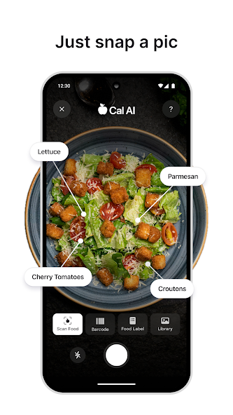 Cal AI2026���ذ�װv1.0.205 �ٷ������ͼ