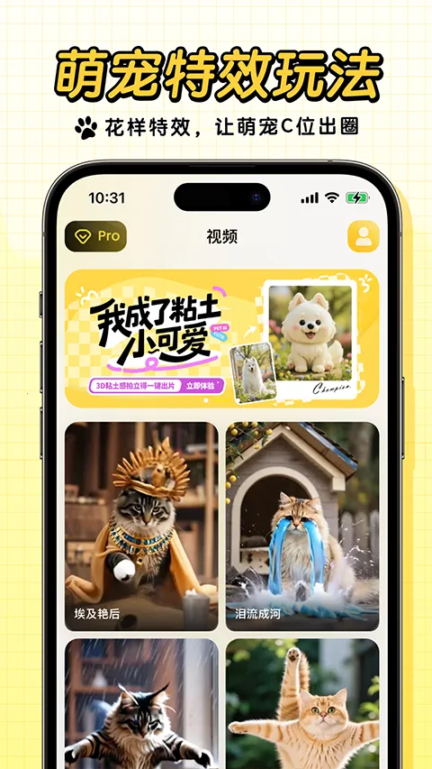 宠玩(宠玩养宠工具) 宠玩(宠玩养宠工具)