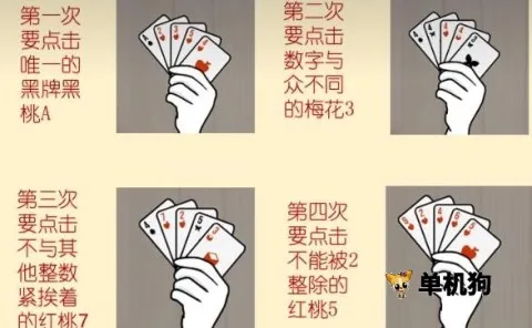 兔子先生 第3张图