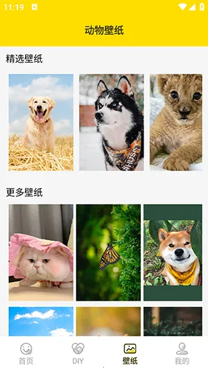 兔子表情包最新手机版 兔子表情包最新手机版