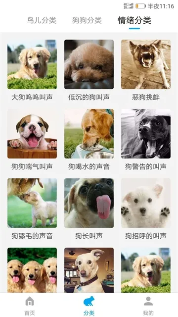 动物翻译器全部动物 动物翻译器全部动物