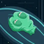 ������ͣʬ����������������2026�ٷ�����