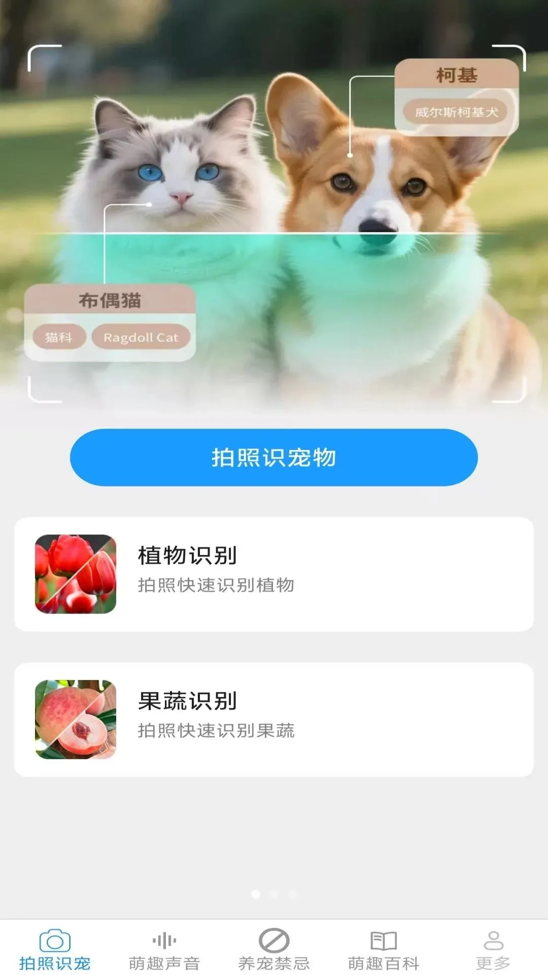 Ԫ������2026���°汾v2.6.6.3 ��׿���ͼ