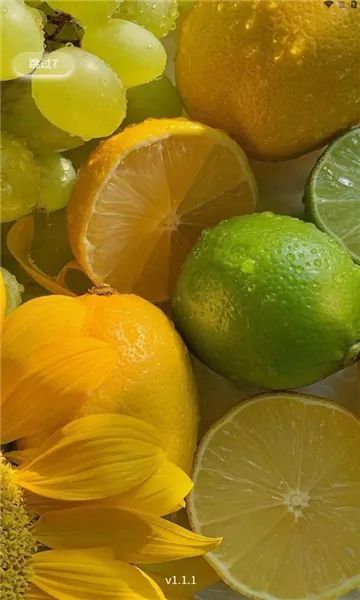 �����ջ�(�������ַ���ƽ̨)v1.1.6 ��Ѱ��ͼ