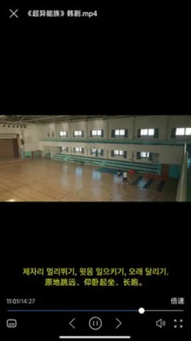 X字幕(视频字幕翻译) X字幕(视频字幕翻译)