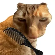 ��è��ë(����������ë)v1.0 �ֻ���