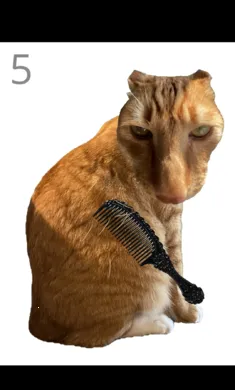 ��è��ë(����������ë)v1.0 �ֻ����ͼ