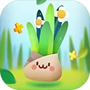 Little Commander 2(������������)v1.8.5 ��׿��