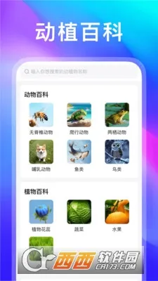 �������������ֻ���v1.1.9 ��׿���ͼ