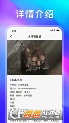 �������������ֻ���v1.1.9 ��׿���ͼ