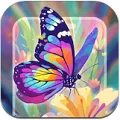 ��Ϳ��ֽv1.3.0 ��Ѱ�