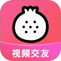 ʯ��ֱ��v10.2.3.0630 �ٷ�����