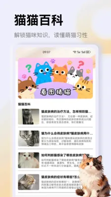 ����è��app2026�ٷ����°汾v1.4 ��Ѱ��ͼ