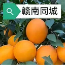 ����ͬ�ǰ�׿���ֻ���v15.7.4 �ٷ�����