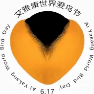�������������ֻ���v1.0.0 �ֻ���