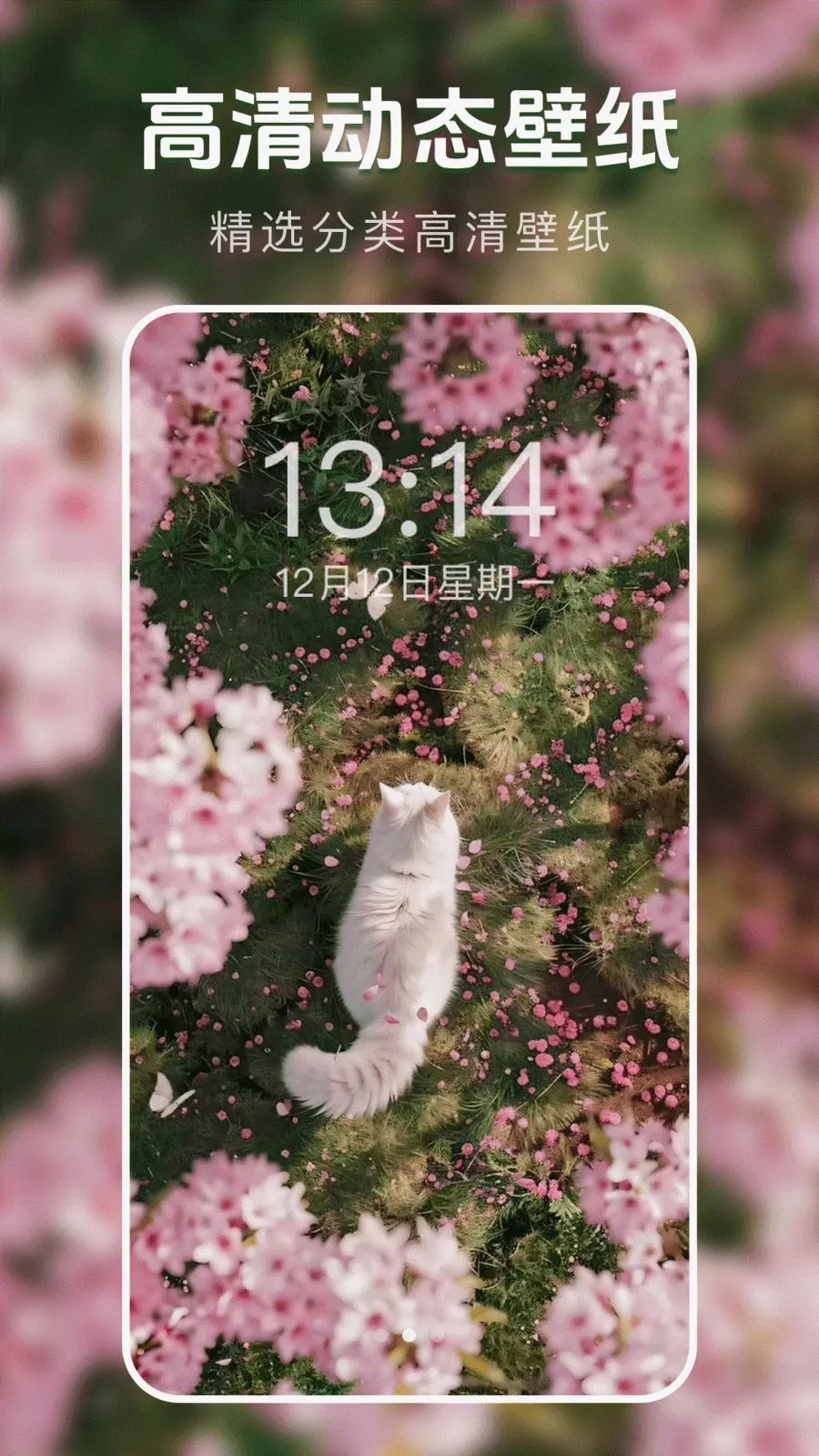 ��̬�����ֽ��v1.0.0 �ٷ������ͼ