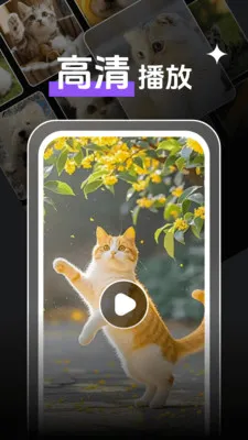 ���̹�Ӱ������playerv1.1.3 �ֻ����ͼ