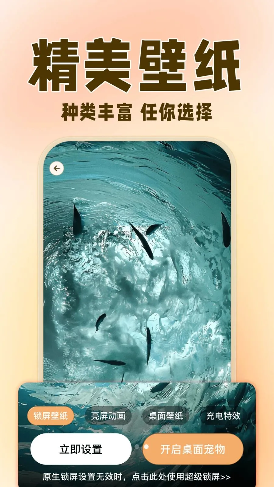 �����ȳ辫��v1.0.3 ��׿���ͼ