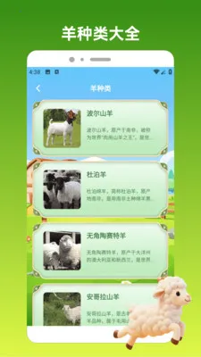 ����С��2026���°汾v1.3 �ٷ������ͼ